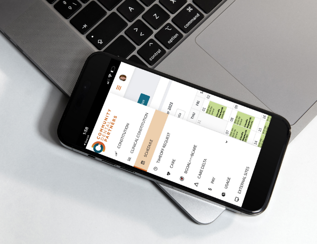 Doctors review their schedule and compensation on the CDP Doctor Pay App.